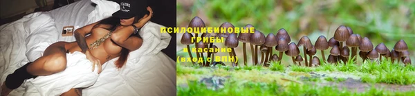 эйфоретик Арсеньев