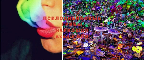 прущая мука Армянск
