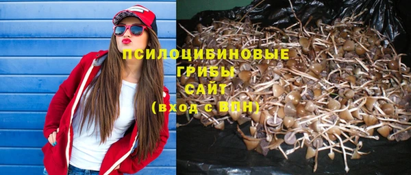 эйфоретик Арсеньев