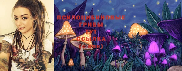 прущая мука Армянск