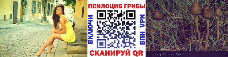 где продают наркотики  Слободской  Галлюциногенные грибы ЛСД 